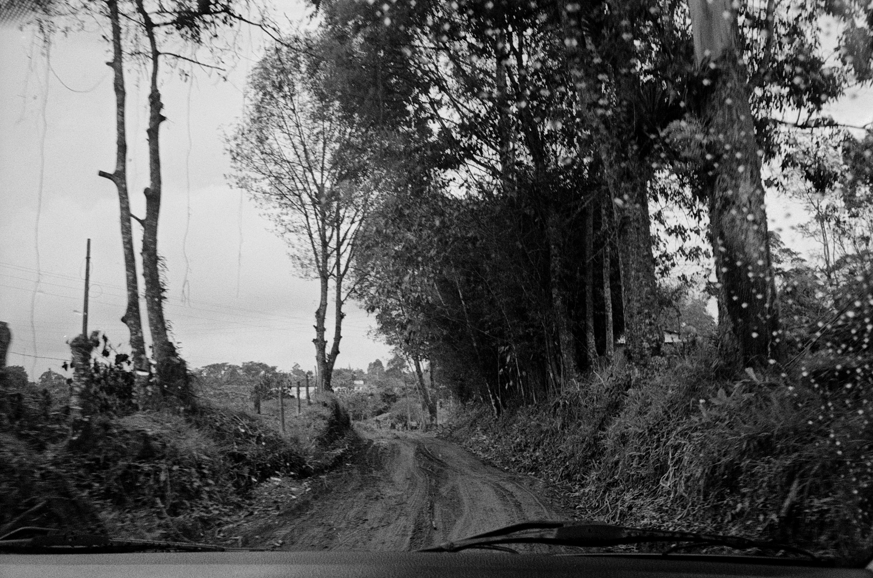 camino